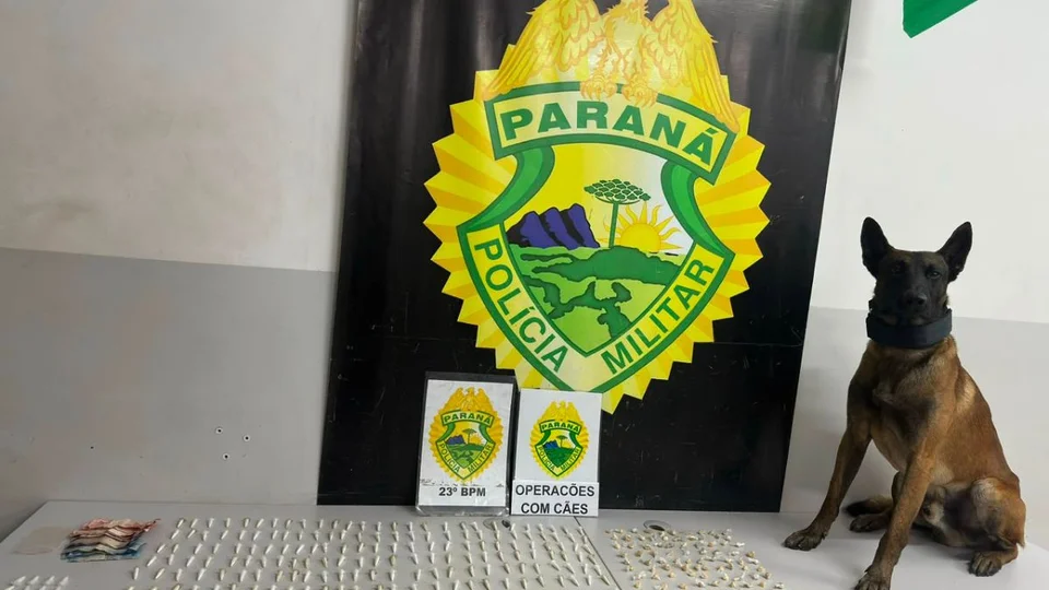 Cão farejador localiza crack e cocaína no Morro do Piolho, em Curitiba